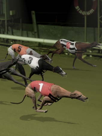 3d-dog-race